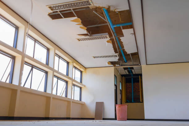 Best Mold removal after water damage  in Millersburg, OR