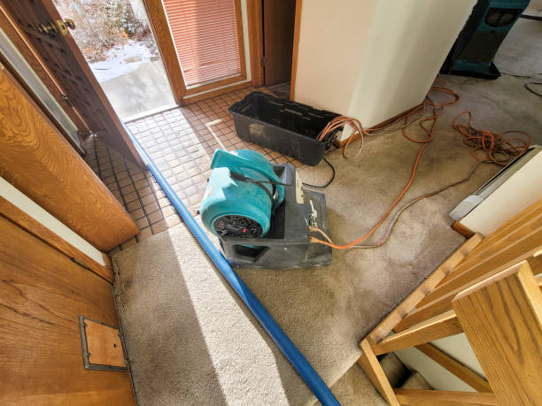 Water damage restoration mold remediation in Millersburg, OR