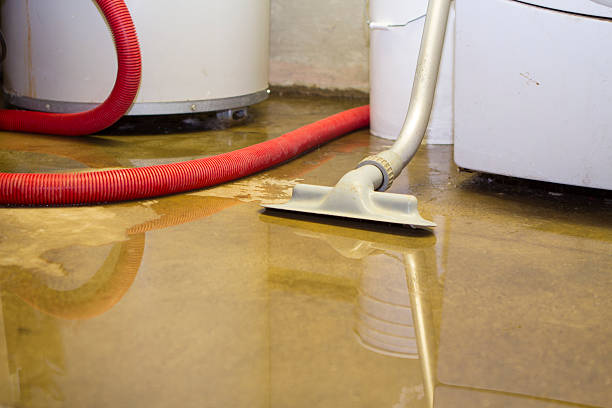 Best Sewage cleanup and water damage restoration  in Millersburg, OR