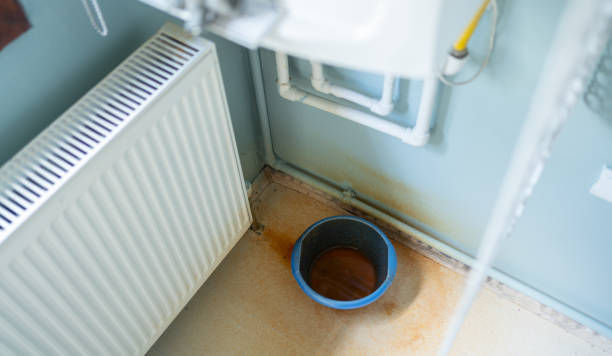 Best Water damage mitigation services  in Millersburg, OR