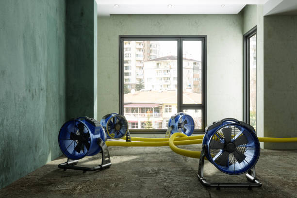 Best 24-hour water damage restoration  in Millersburg, OR